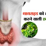 बिहार BJP ने नए प्रदेश पदाधिकारियों की घोषणा की, दिलीप जायसवाल ने जारी की 35 सदस्यीय टीम